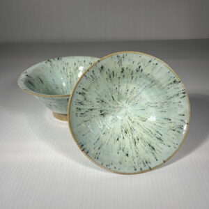 Aqua Pasta Bowls